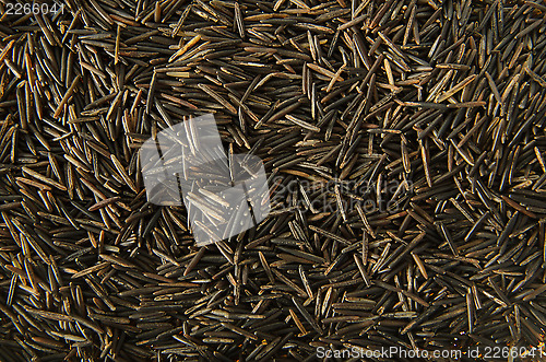 Image of Wild Rice