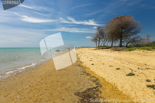 Image of Beach