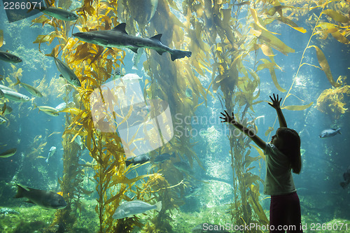 Image of Young Girl Standing Up Against Large Aquarium Observation Glass