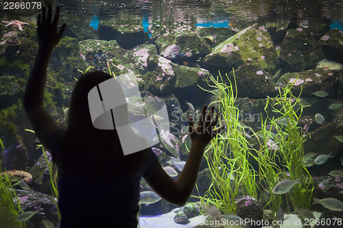 Image of Young Girl Standing Up Against Large Aquarium Observation Glass