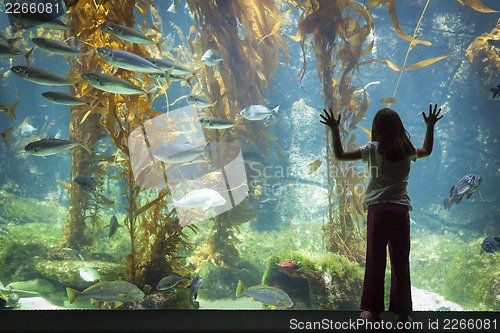 Image of Young Girl Standing Up Against Large Aquarium Observation Glass