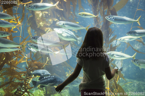 Image of Young Girl Standing Up Against Large Aquarium Observation Glass