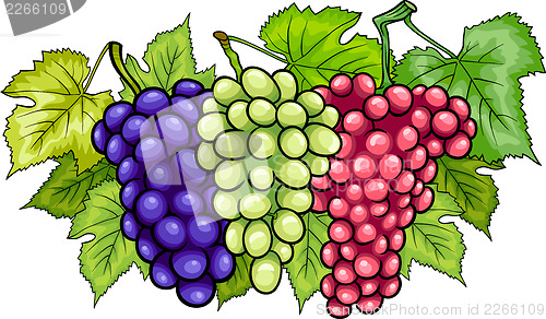 Image of bunches of grapes cartoon illustration