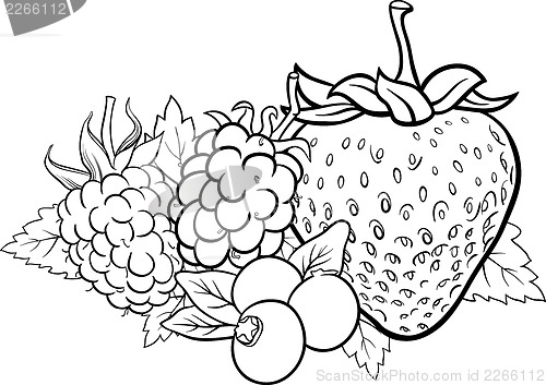 Image of berry fruits illustration for coloring book