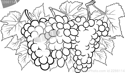 Image of bunches of grapes illustration for coloring