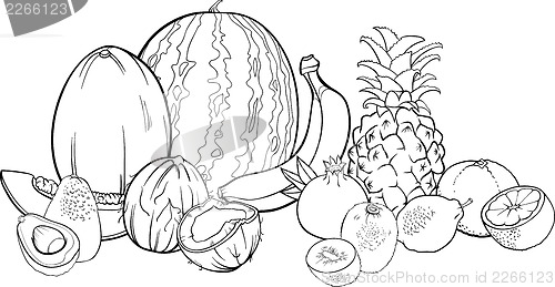 Image of tropical fruits illustration for coloring book