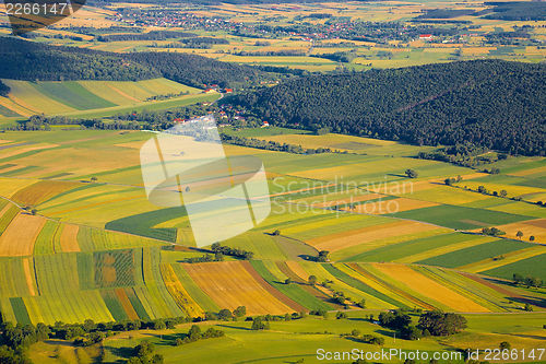 Image of Fileds