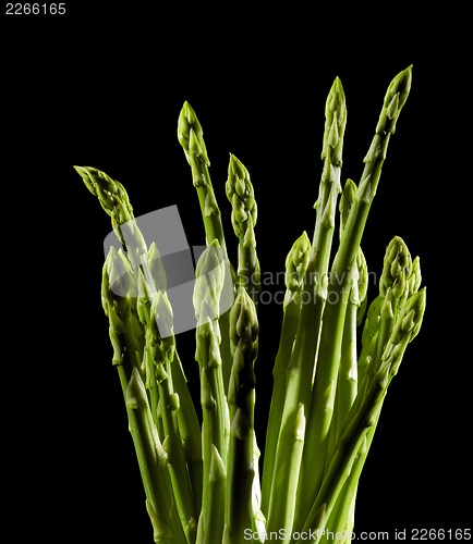 Image of Asparagus