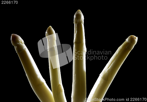 Image of Asparagus