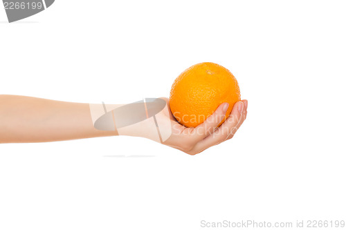 Image of Orange in a hand