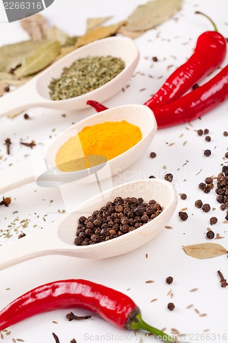 Image of red peppers and other kind of spices in spoons