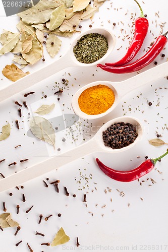 Image of red peppers and other kind of spices in spoons