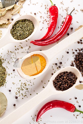 Image of red peppers and other kind of spices in spoons