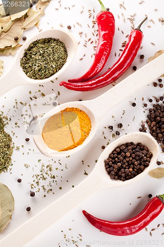 Image of red peppers and other kind of spices in spoons