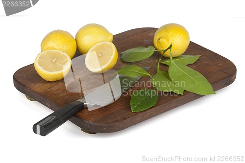 Image of Fresh lemon slices arranged on oblong plate