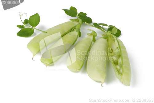 Image of fresh green peas isolated on a white background