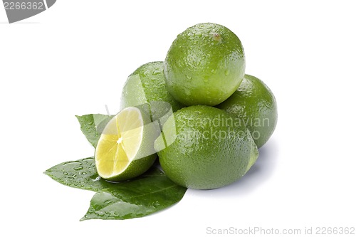 Image of limes isolated