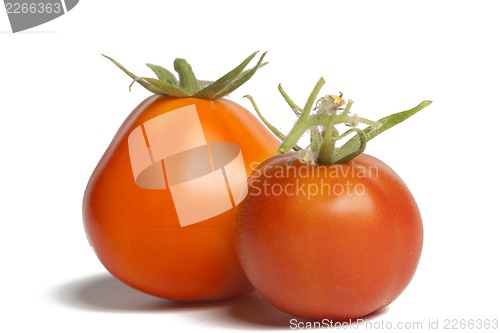 Image of Two ripe tomatoes isolated on white background