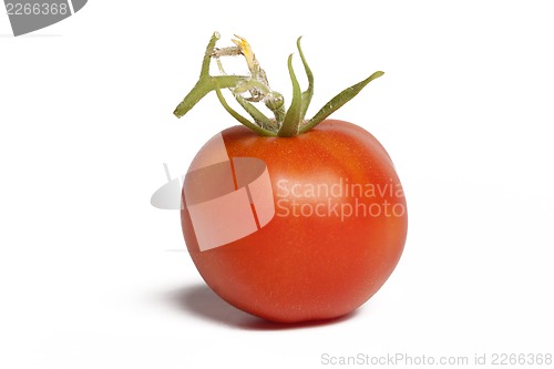 Image of fresh tomato with shadow isolated on white