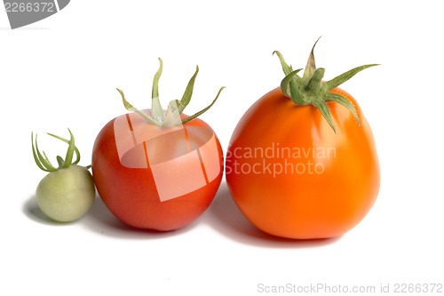 Image of Two tomatos isolated on white