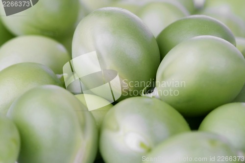 Image of fresh green peas. studio photo