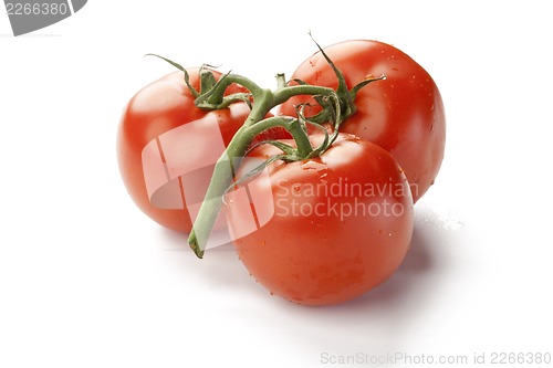 Image of Fresh red tomato with green stem on white background