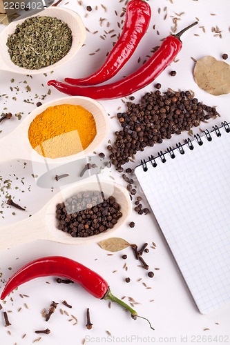 Image of notebook, red chilli pepper, spices in spoons