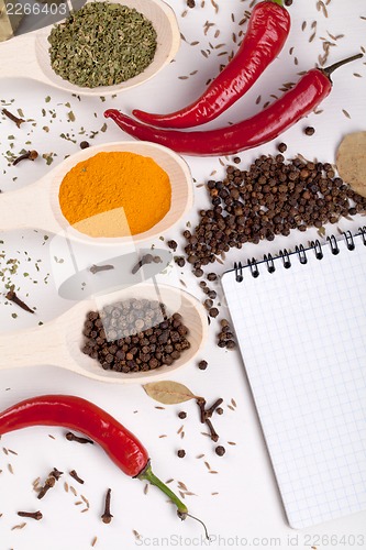 Image of notebook, red chilli pepper, spices in spoons