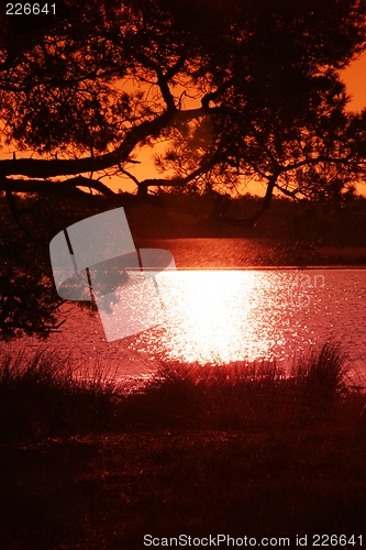 Image of Sunset near a lake in a Dutch Forest