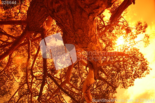Image of Tree Art