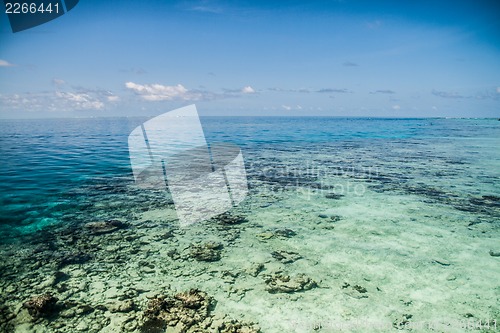 Image of Tropical sea water in Maldives