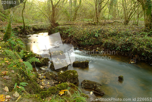 Image of course of a stream