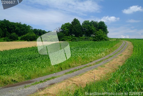 Image of field cart road