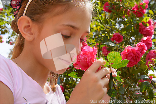 Image of The girl with rose