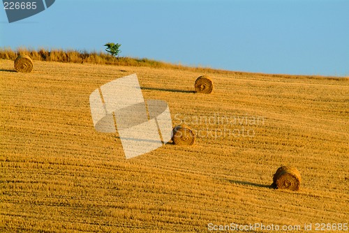 Image of straw bale