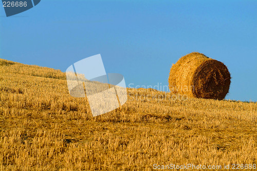 Image of straw bale