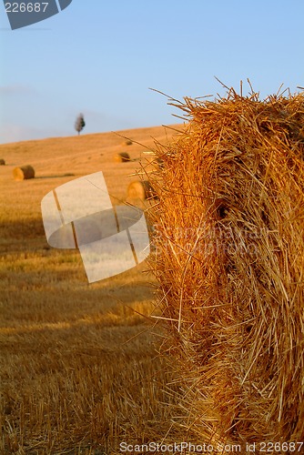 Image of straw bale
