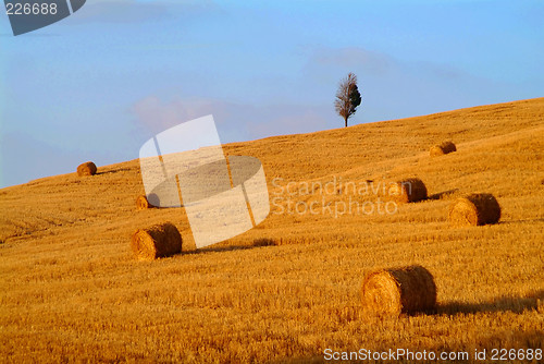 Image of straw bale