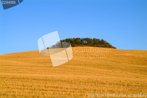 Image of tuscany