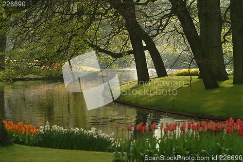 Image of tulips and sea