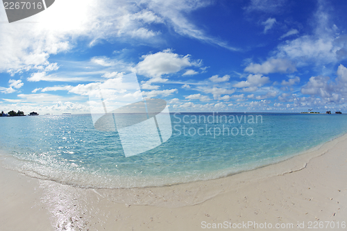 Image of tropical beach