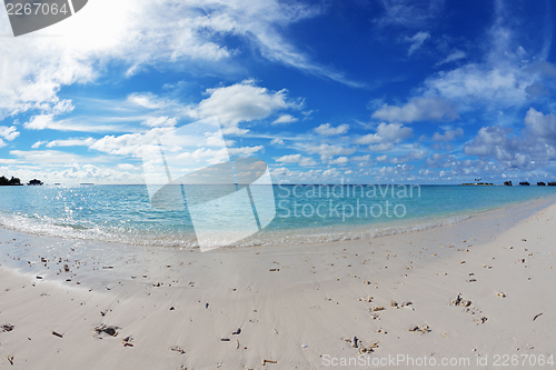 Image of tropical beach