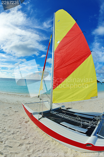 Image of tropical beach