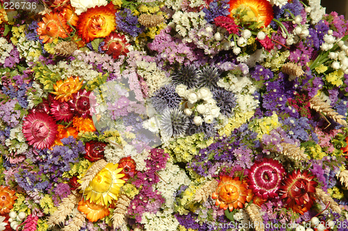 Image of dried flowers