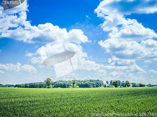 Image of blue sky green meadow