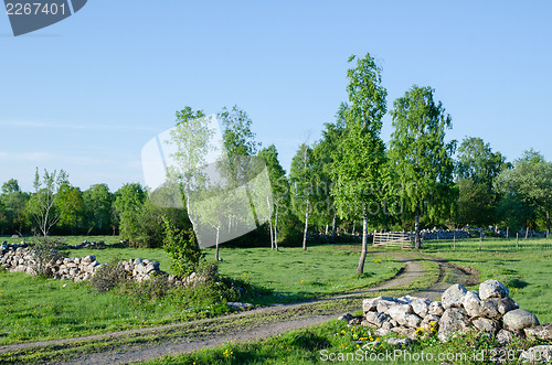 Image of Green rural landscape