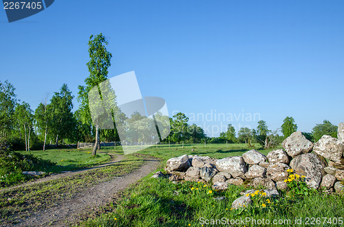 Image of Idyllic rural landscape