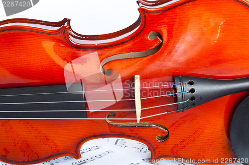 Image of Violin