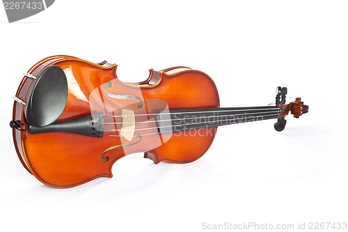 Image of Violin