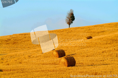 Image of straw bale